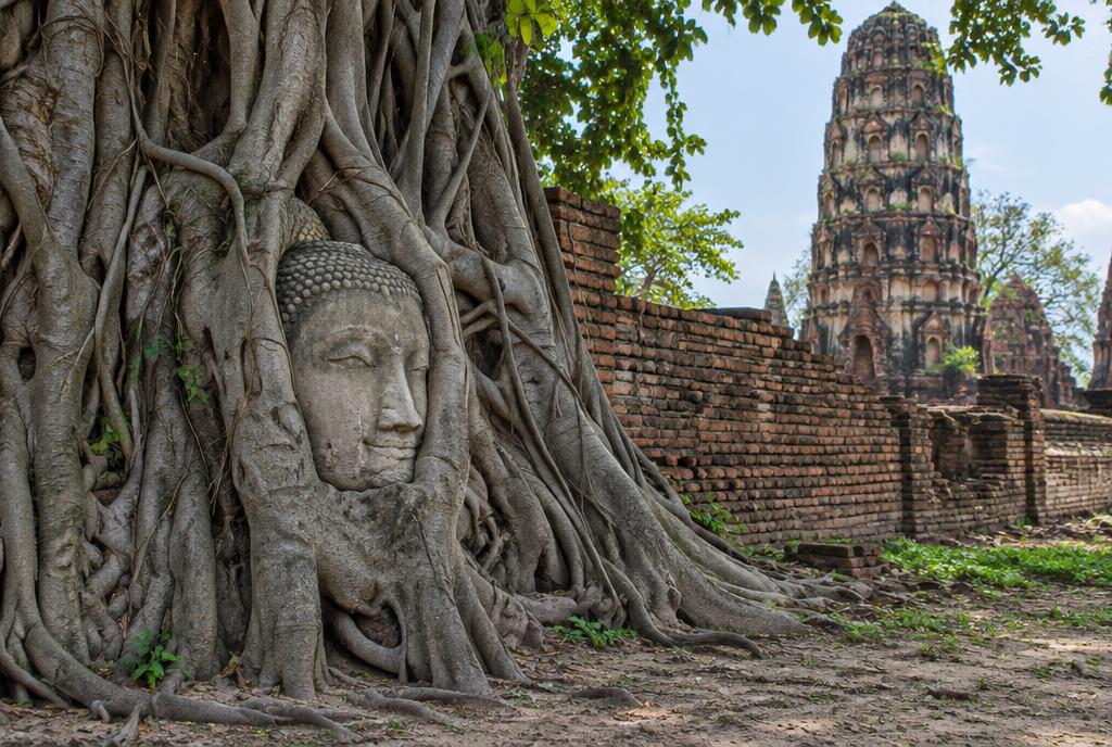 Tête de Bouddha prise dans les racines d'un arbre à Ayutthaya
