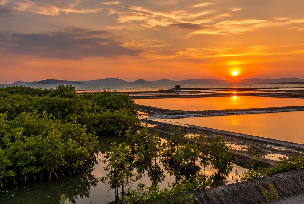Marais salants et mangrove au coucher du soleil sur le golfe de Thaïlande