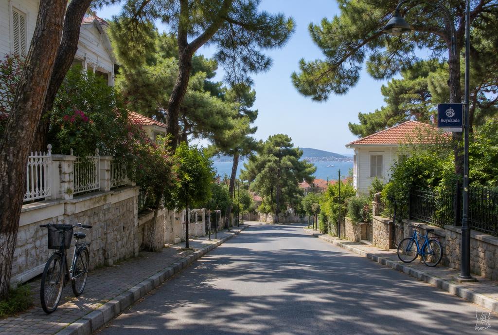 Rue bordée de pins et de villas en bois sur Büyükada