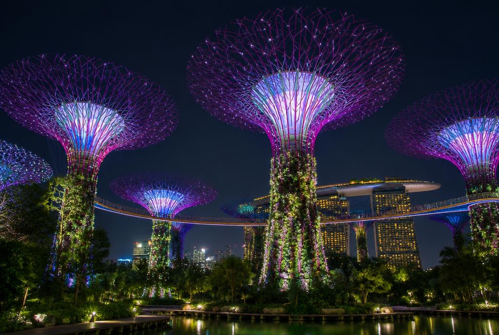 Supertrees illuminés des Gardens by the Bay la nuit